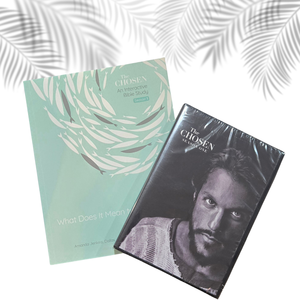 The Chosen DVD & Study Guide