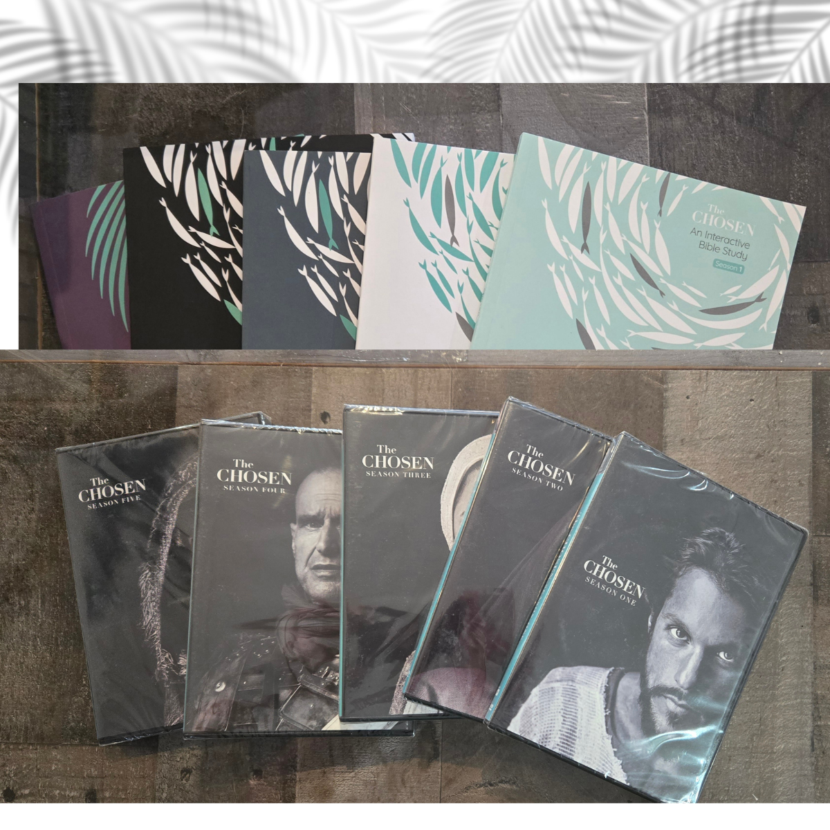 The Chosen DVD & Study Guide